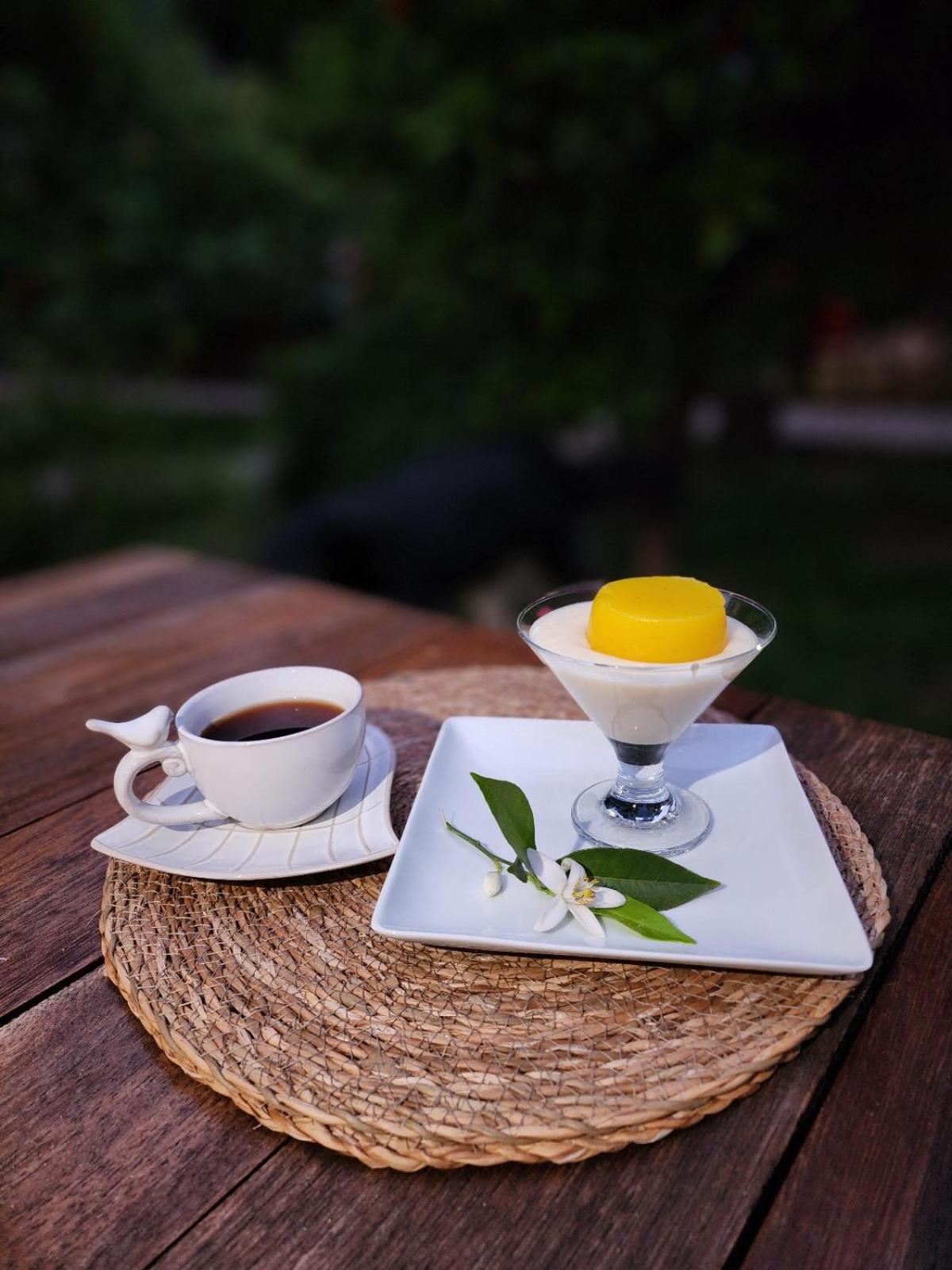 Portalimo Lodge Hotel - Adult Only +12 Cirali Exterior photo