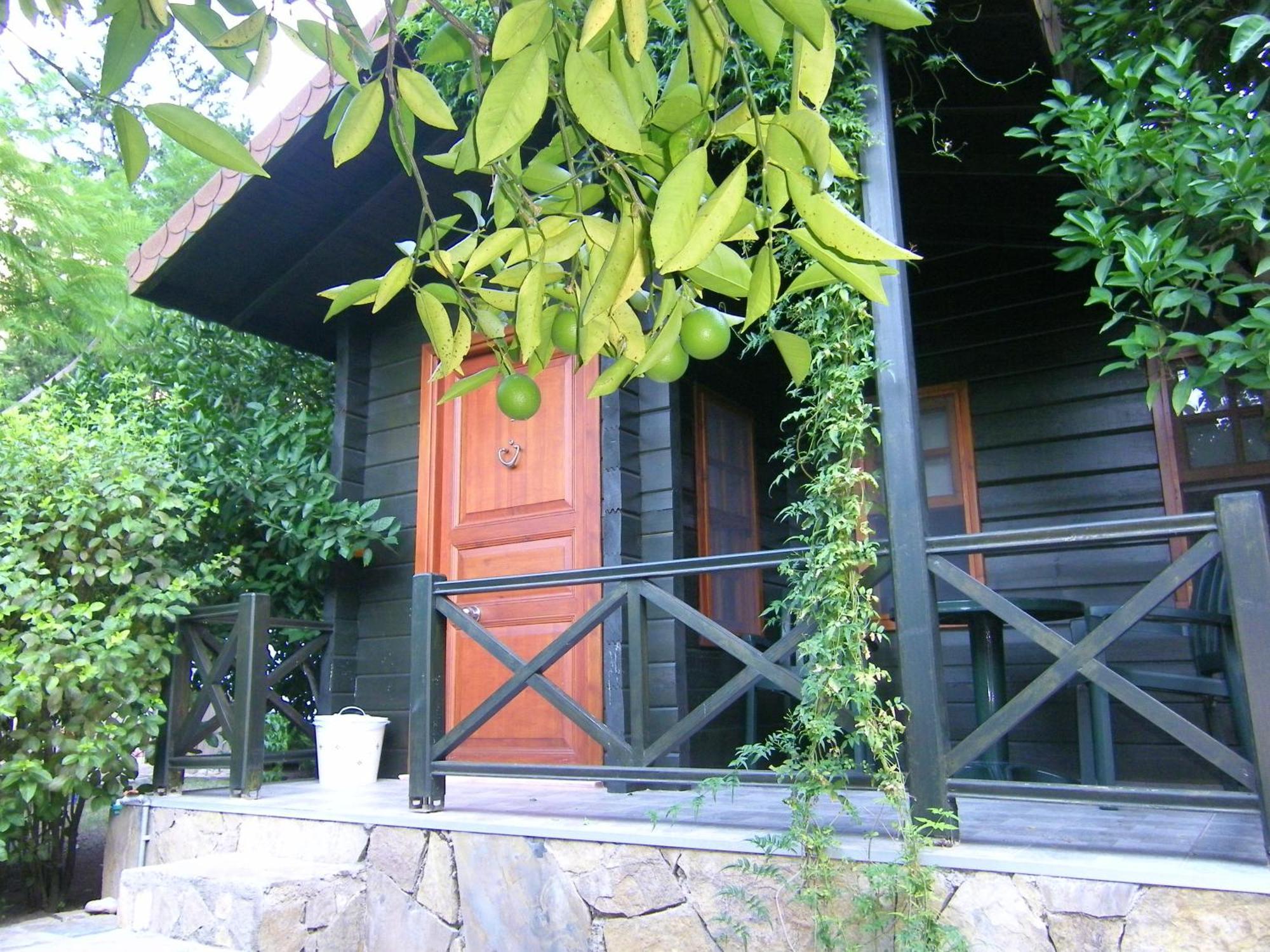 Portalimo Lodge Hotel - Adult Only +12 Cirali Exterior photo